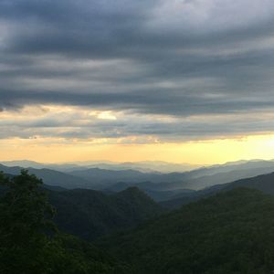 Meet your Posher, Michelle sareen